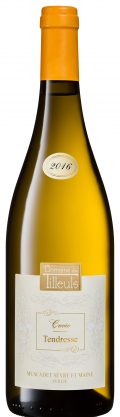 Cuvée Tendresse – 2016 JPG Cuvée Tendresse - 2016 JPG