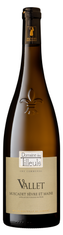 muscadet-sevre-et-maine-2018-SM